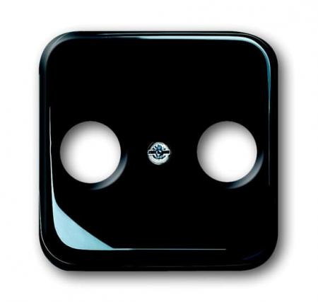 Busch-Jaeger 2531-215 Zentralscheibe als Abdeckung für handelsübliche Antennensteckdosen