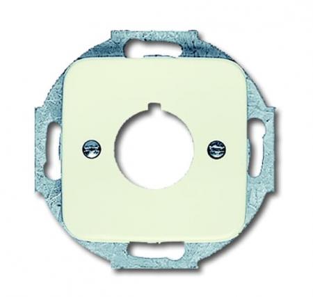 Busch-Jaeger 2533-212 Zentralscheibe mit Tragring