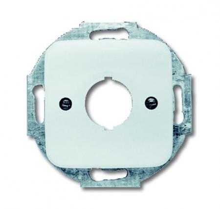 Busch-Jaeger 2533-214 Zentralscheibe mit Tragring