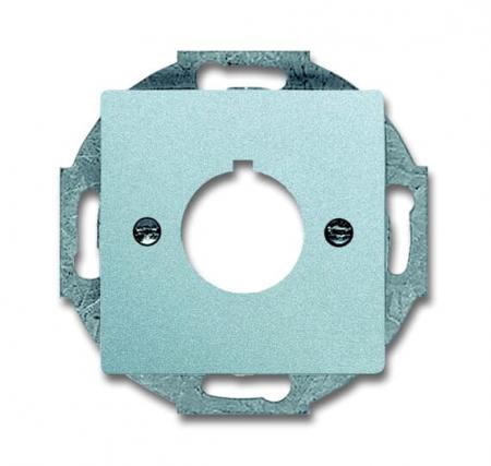 Busch-Jaeger 2533-83 Zentralscheibe mit Tragring