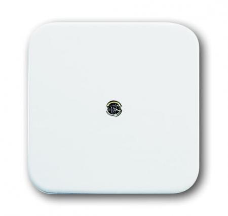 Busch-Jaeger 2536-214 Zentralscheibe