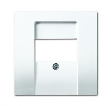 Busch-Jaeger 2539-914 Zentralscheibe