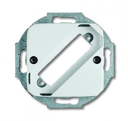 Busch-Jaeger 2549-214 Zentralscheibe mit Tragring