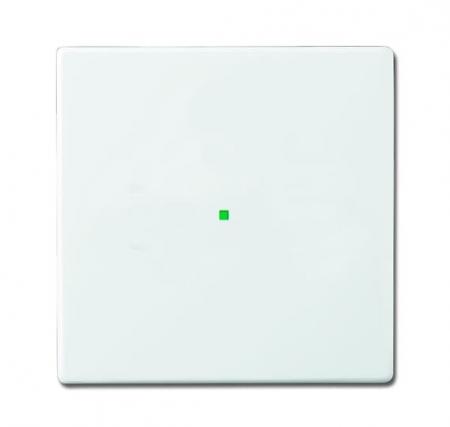 Busch-Jaeger 6230-10-84 Wippe 1-fach ohne Bedruckung