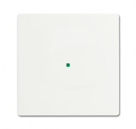 Busch-Jaeger 6230-10-884 Wippe 1-fach ohne Bedruckung