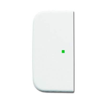 Busch-Jaeger 6230-20-214 Wippe 2-fach links/rechts ohne Bedruckung