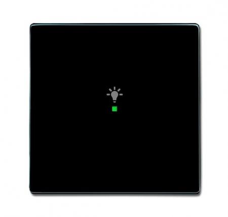 Busch-Jaeger 6231-10-81 Wippe 1-fach mit Symbol "Licht"