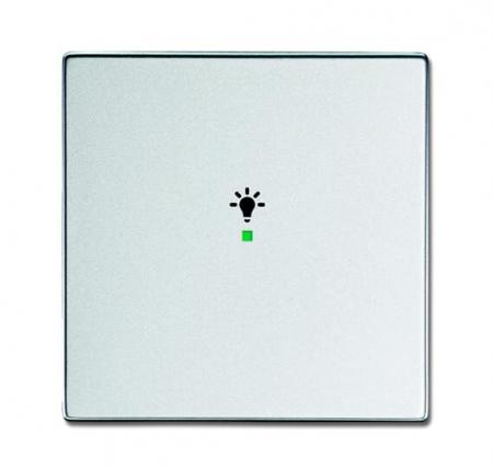 Busch-Jaeger 6231-10-83 Wippe 1-fach mit Symbol "Licht"