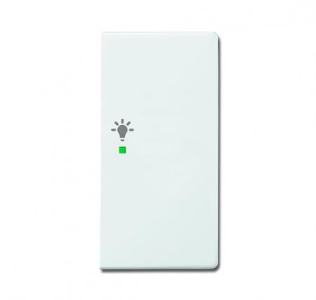 Busch-Jaeger 6231-22-84 Wippe 2-fach rechts mit Symbol "Licht"