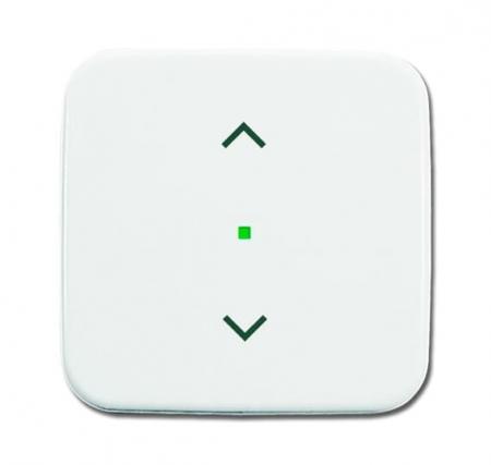 Busch-Jaeger 6232-10-214 Wippe 1-fach mit Symbol "Jalousie"