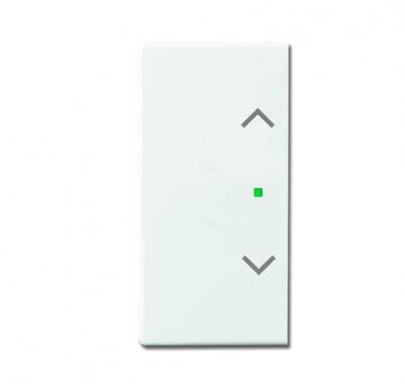 Busch-Jaeger 6232-20-84 Wippe 2-fach links/rechts mit Symbol "Jalousie"