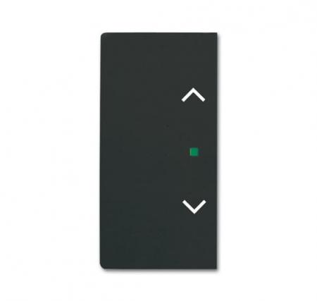 Busch-Jaeger 6232-20-885 Wippe 2-fach links/rechts mit Symbol "Jalousie"