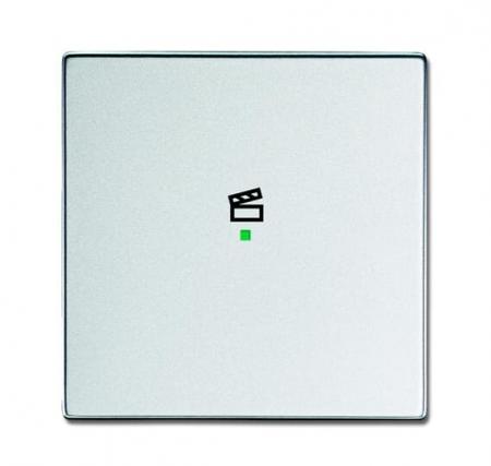 Busch-Jaeger 6233-10-83 Wippe 1-fach mit Symbol "Szene"