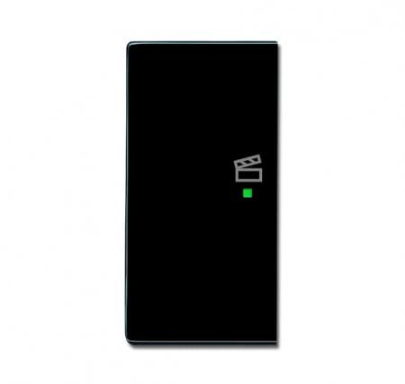 Busch-Jaeger 6233-21-81 Wippe 2-fach links mit Symbol "Szene"