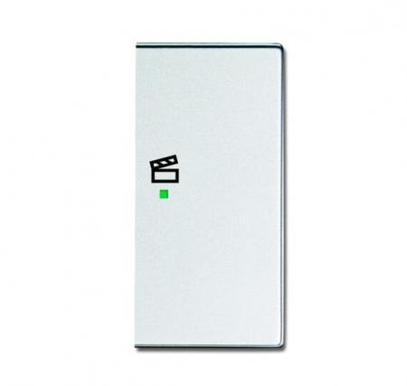 Busch-Jaeger 6233-22-83 Wippe 2-fach rechts mit Symbol "Szene"