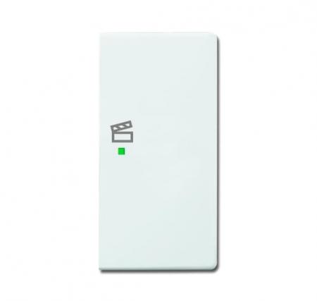 Busch-Jaeger 6233-22-84 Wippe 2-fach rechts mit Symbol "Szene"