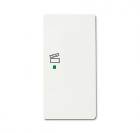 Busch-Jaeger 6233-22-884 Wippe 2-fach rechts mit Symbol "Szene"