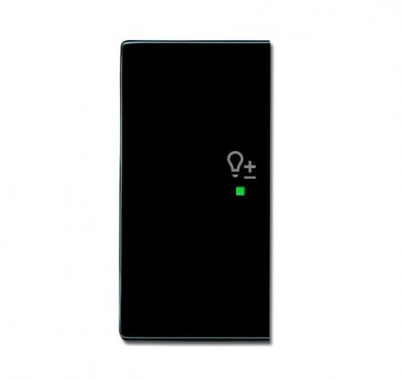 Busch-Jaeger 6234-21-81 Wippe 2-fach links mit Symbol "Dimmer"