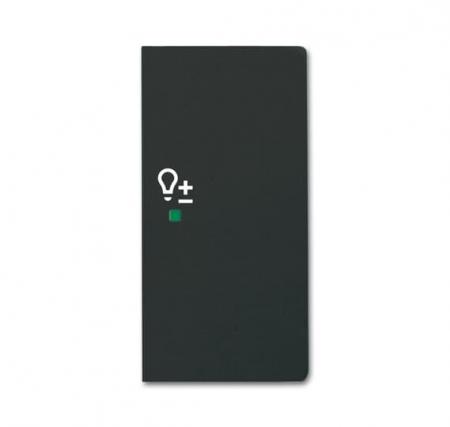 Busch-Jaeger 6234-22-885 Wippe 2-fach rechts mit Symbol "Dimmer"