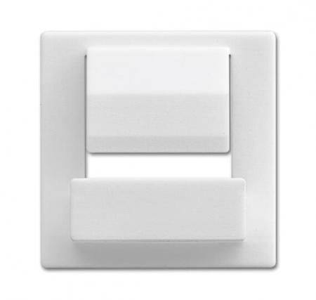 Busch-Jaeger 6477-84 Zentralscheibe für Busch-powerDock