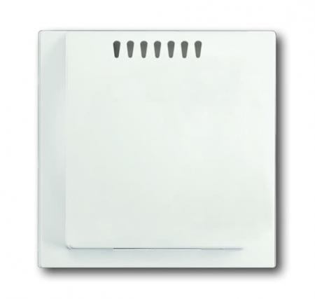 Busch-Jaeger 6541-774 Zentralscheibe für Kühlteil