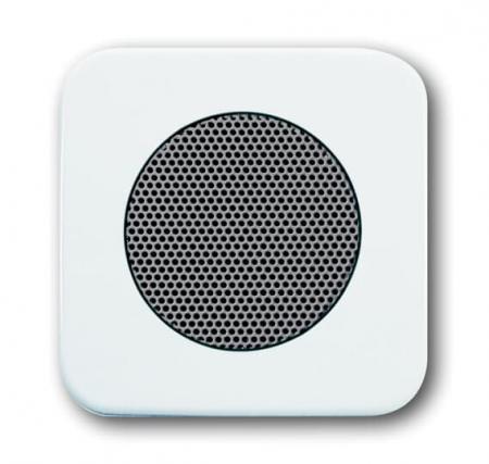 Busch-Jaeger 8253-214 Zentralscheibe