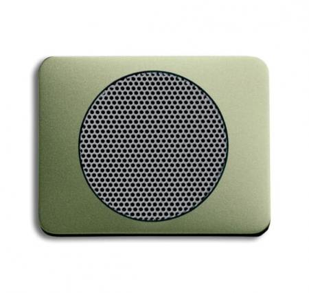 Busch-Jaeger 8253-260 Zentralscheibe