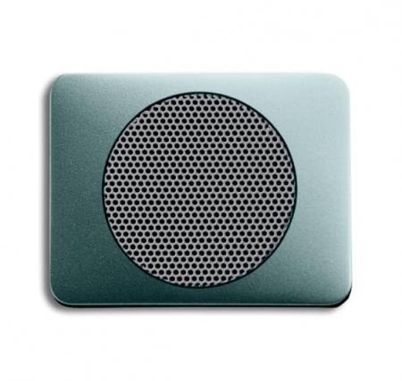 Busch-Jaeger 8253-266 Zentralscheibe