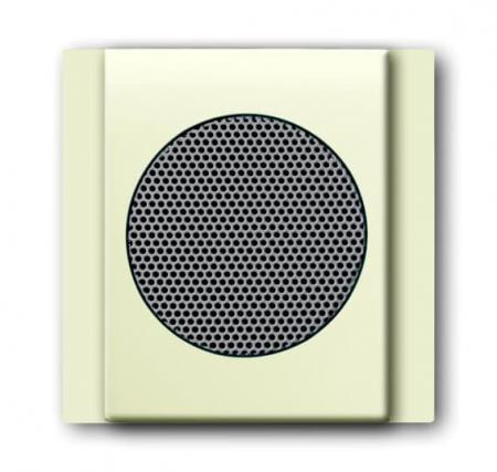 Busch-Jaeger 8253-72 Zentralscheibe