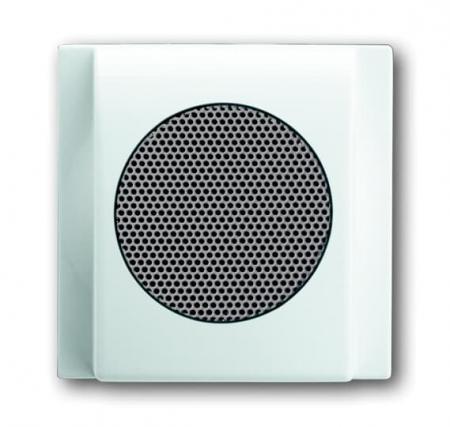 Busch-Jaeger 8253-74 Zentralscheibe