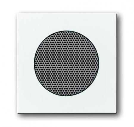 Busch-Jaeger 8253-84 Zentralscheibe