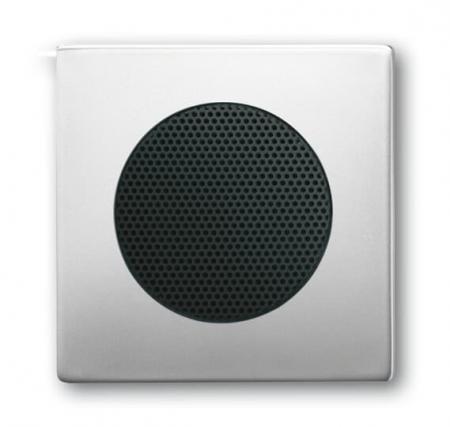 Busch-Jaeger 8253-866 Zentralscheibe