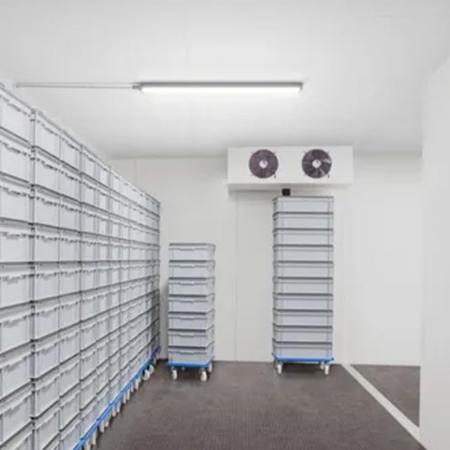 150cm Philips LED Feuchtraumleuchte L150 WT065C LED IP65 6800lm