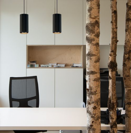 SLV 1004147 NUMINOS PD PHASE S Indoor LED Pendelleuchte schwarz/schwarz 2700K 36°