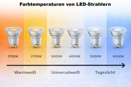 Philips LED-Spots 6x GU10 PAR16 5W 4000K Kaltweiß 36° – energieeffiziente Reflektor Spots für klare Arbeits- und Raumbeleuchtung