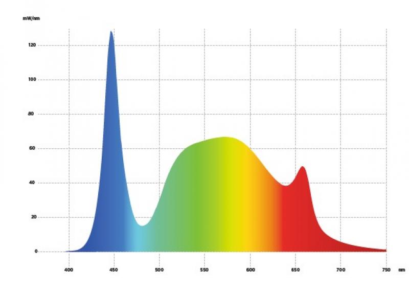 CDS LED-Pendelleuchte PENDULUM 1700 HORTICULTURE – Professionelle Pflanzenbeleuchtung für moderne Innenraumbegrünungen