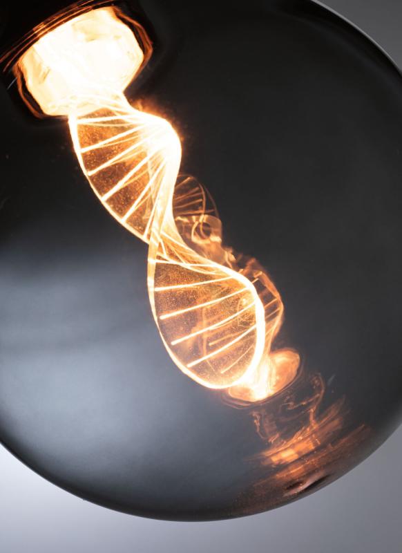 Paulmann 28882 Inner Glow Edition E27 LED Globe Helix  3,5W extra warmweiß Rauchglas