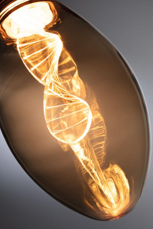 Paulmann 28884 Inner Glow Edition E27 LED Birne Helix 230V 180lm 3,5W  extra warmweiß Gold