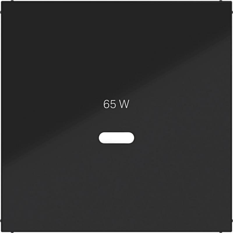 Hager Zentralst. f. USB-C PW Ax/Cx schw gl