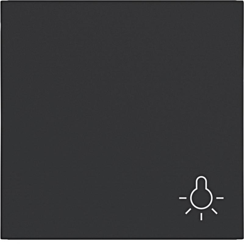 Hager WI 1f Aufdr. Licht Ax/Cx schwarz matt