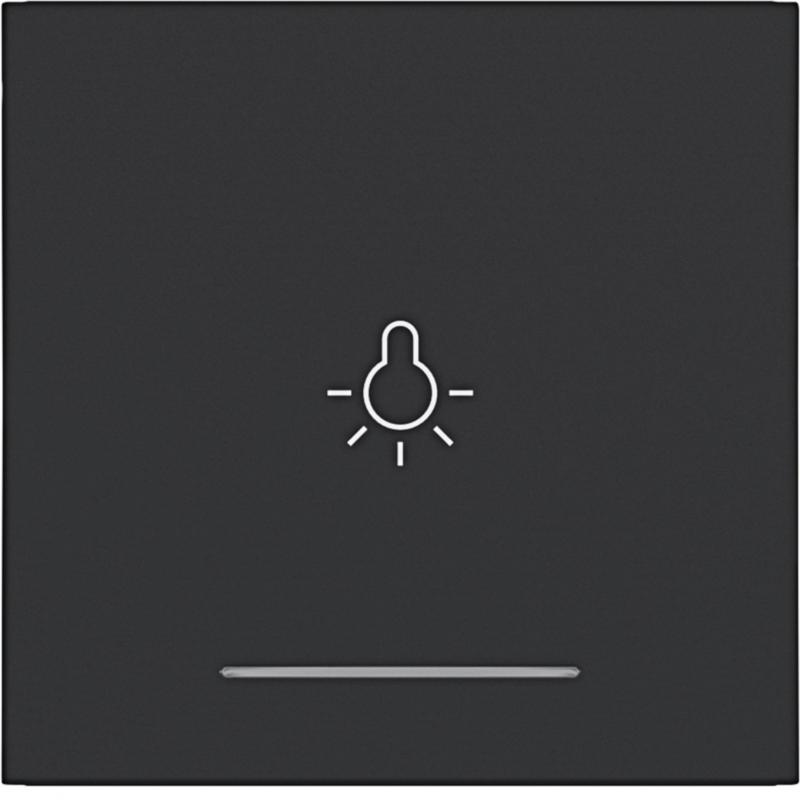 Hager WI 1f Aufdr. Licht Ax/Cx schwarz matt