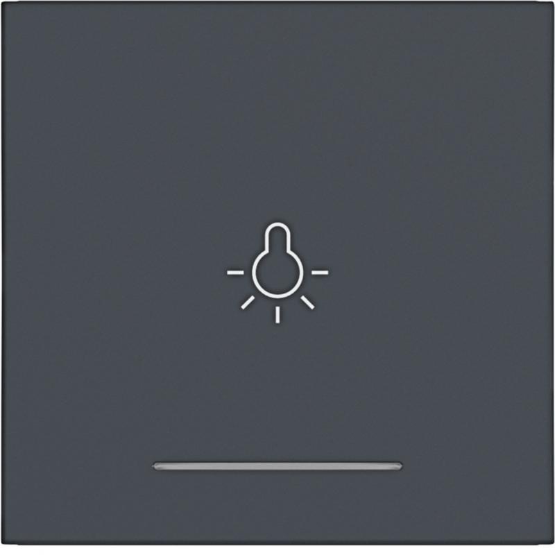 Hager WI 1f Aufdr. Licht Ax/Cx ant mt lackiert