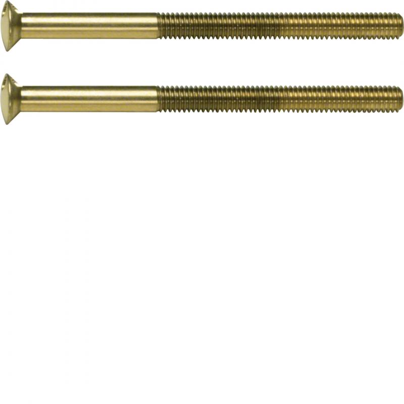 Hager Zwei Loch Schraube mit Linse System TS