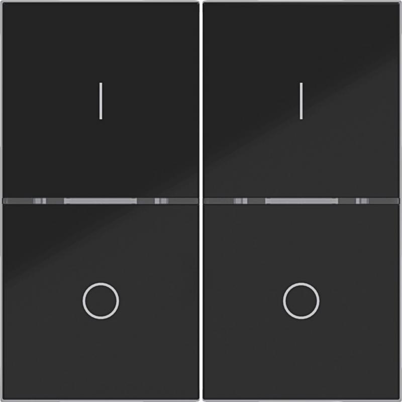 Hager Abdeck. Taster 2f I/O A.x/C.x schw glänz