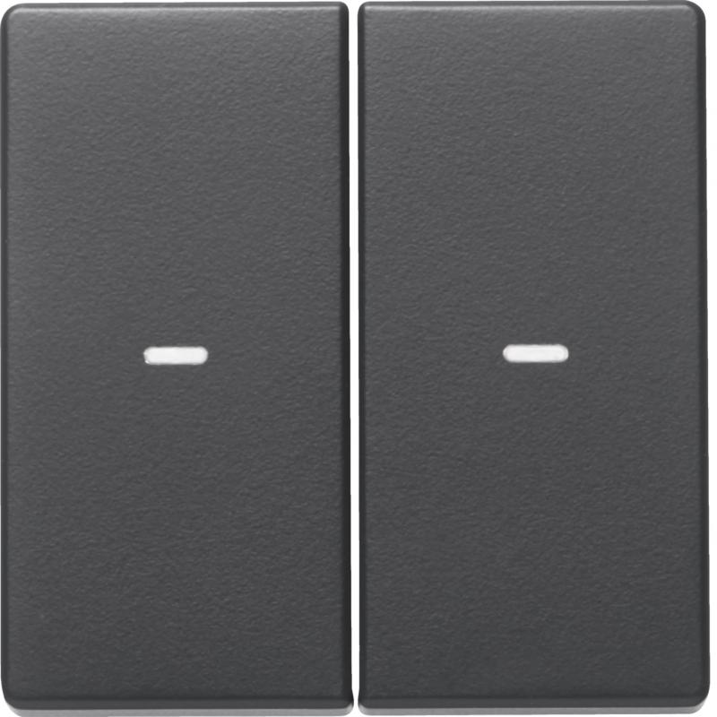 Berker 80960326 Abdeckung 2f. Tastsen.-Modul Q.x anth