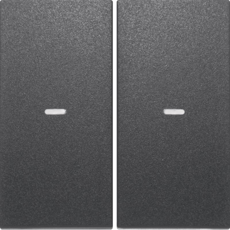Berker 80960385 Abdeckung 2f. Tastsen.-Modul S/B anth