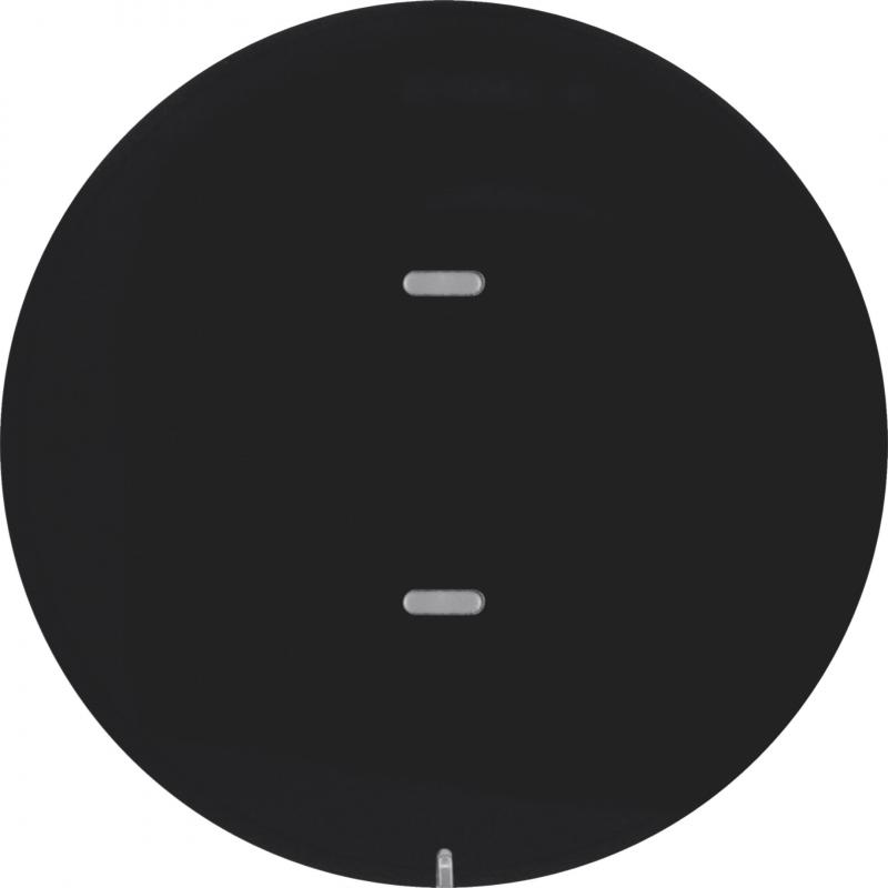 Berker 80161865 Tastsensor 1f Komf KNX R.x sw glän