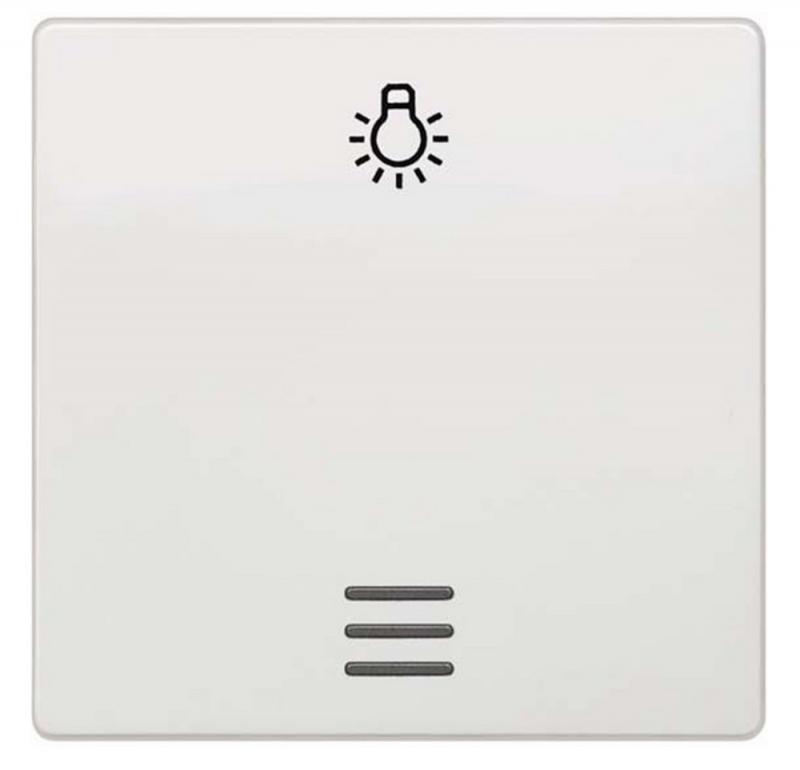 Siemens DELTA i-system Wippe 5TG6206 titanweiß mit Lichtsymbol Fenster 55x55mm