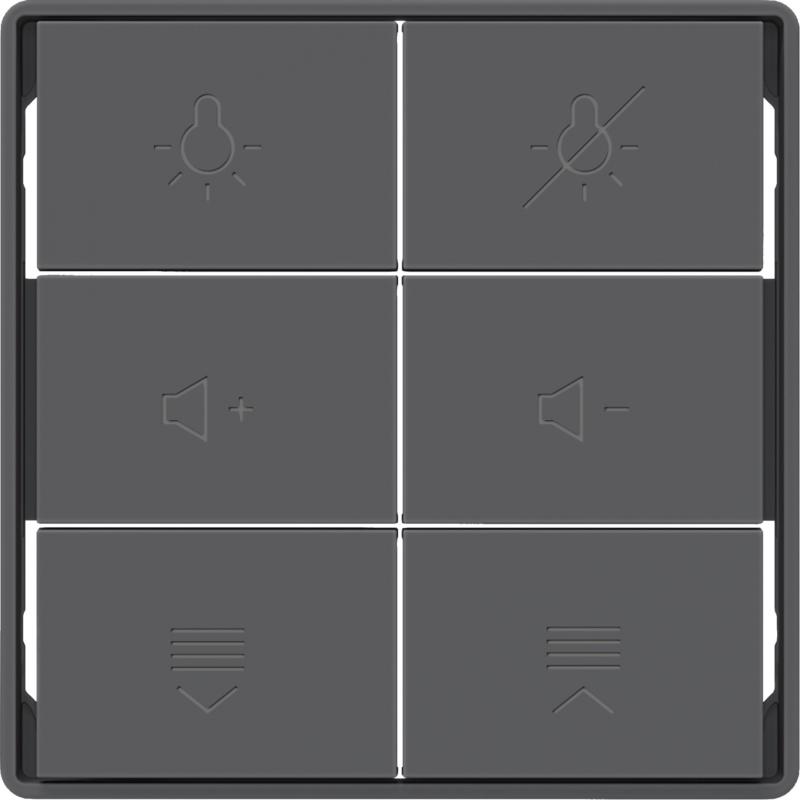 Berker 81183226 Tasten f.Tast.modul,6f,Q.x,ant,bel
