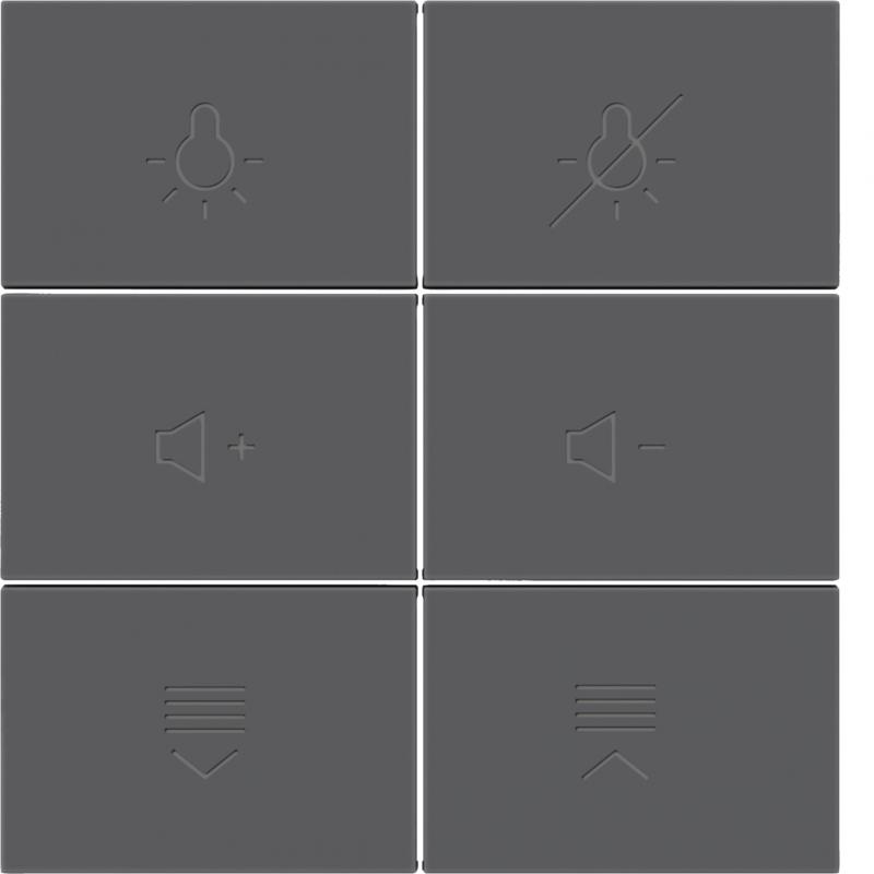 Berker 81183286 Tasten f.Tast.modul,6f,S.x/B.x,ant,bel